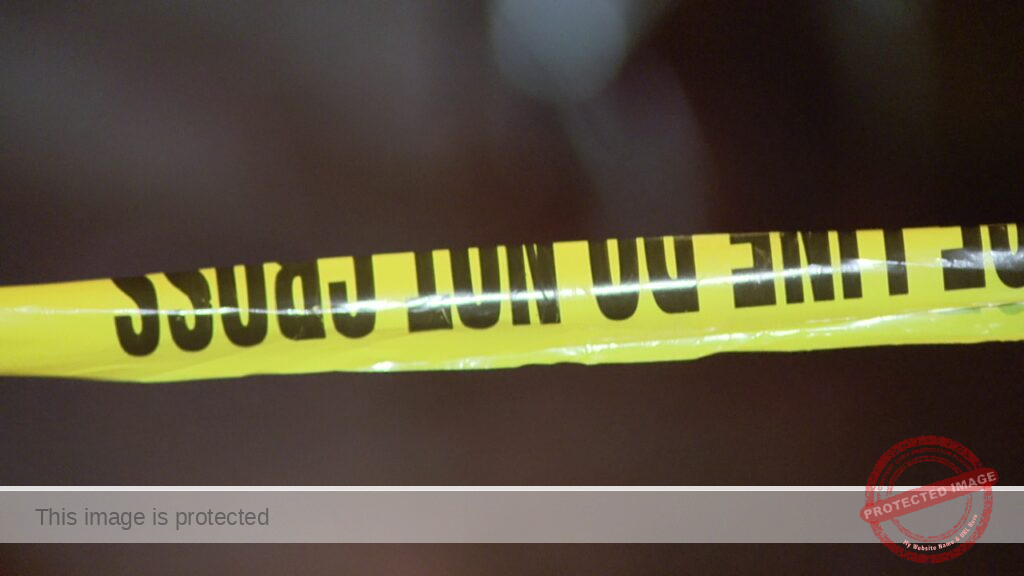 Chicago crime: Man, 33, killed during argument in Brighton Park