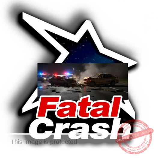 Danville Man Dies After Losing Control on Philpott Road; Seatbelt Not Worn