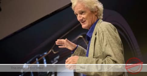 Dyson Faces Significant Revenue Drop Amid Economic Challenges: What’s Next for the Brand?