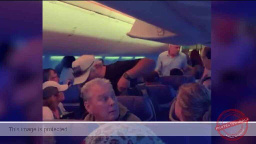 Fight breaks out on Southwest flight to Chicago, police investigating