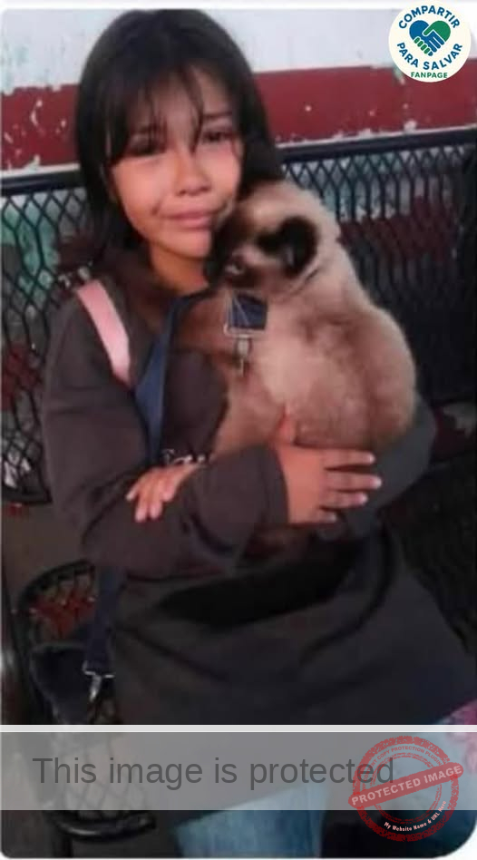 Help Reunite Missing Girl Guadalupe Estrada with Her Family in Axochiapan, Morelos