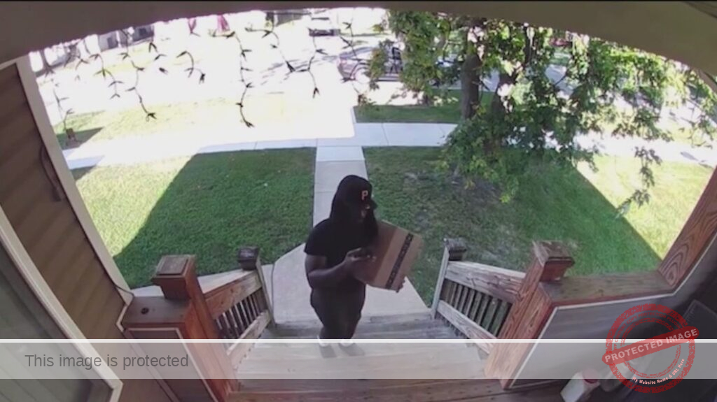 Illinois SAFE-T Act lets alleged repeat Chicago-area theft suspect walk after multiple arrests