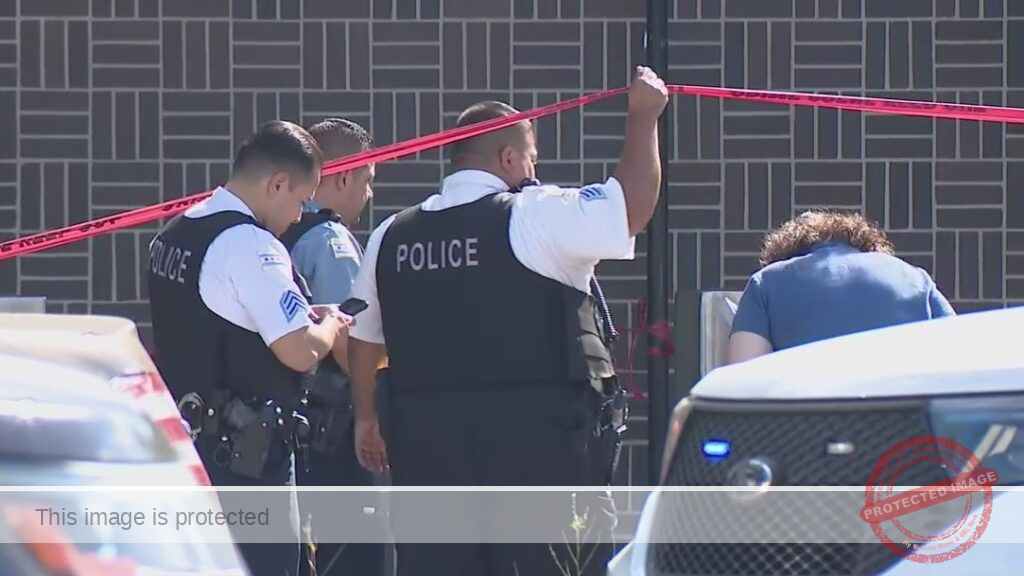 Man, 24, sitting outside shot and killed in Chicago: police