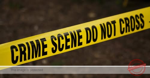 Stolen Van Chase Ends in Horror: Man Struck and Killed Crossing the 110 Freeway Median