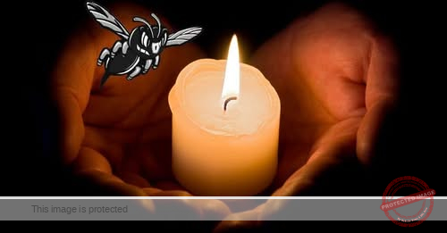 Young Woman Killed as Car Drives the Wrong Way Down Parkway West Early Sunday