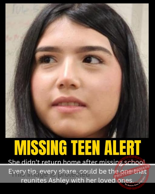 15-Year-Old Ashley Mercado-Cangas Missing in Detroit: Family Desperate for Answers