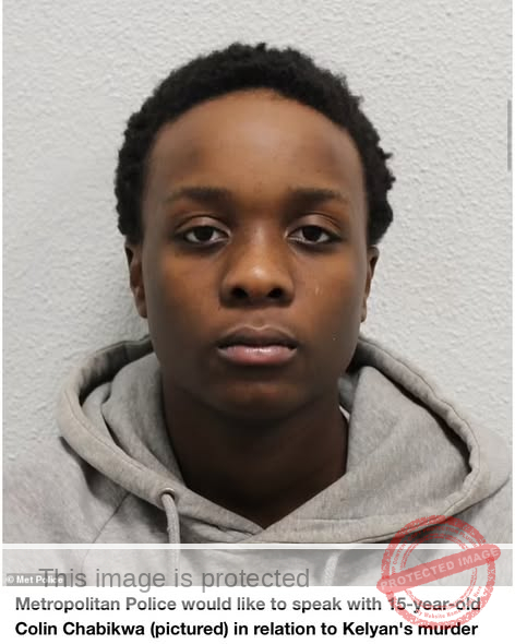 15-Year-Old Charged with Murder After 14-Year-Old London Brown’s Tragic Death in Twinsburg