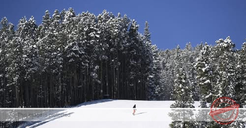 Colorado Supreme Court to hear case of snowboarder hit by snowmobile at Breckenridge Ski Resort