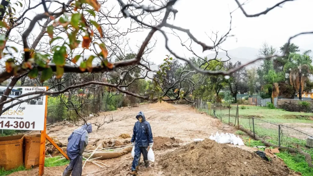 FEMA Head Steps Down After Short Tenure