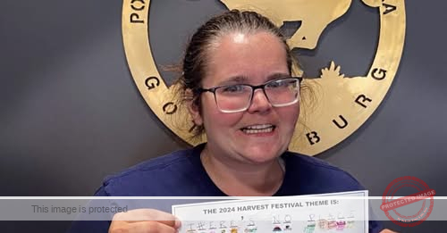 Gothenburg woman’s life ends suddenly in early‑morning crash east of town