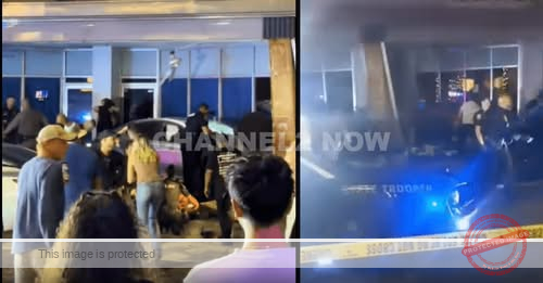 Night Out, Gone Too Soon: 4 Lives Lost, 11 Hurt After High-Speed Chase Ends in Ybor City