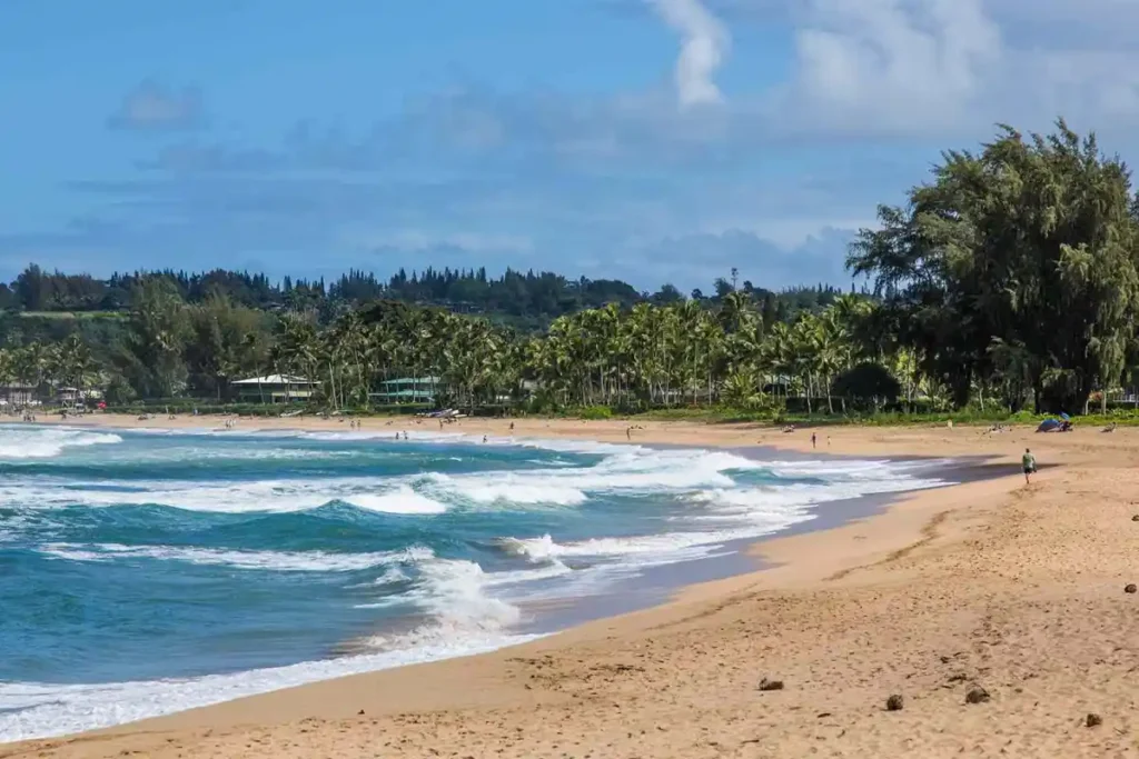 Shark Bites Surfing Lifeguard