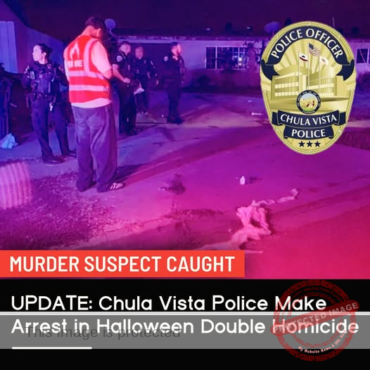 Two Young Lives Lost on Halloween: Teens Killed at Chula Vista Party, Suspect Arrested