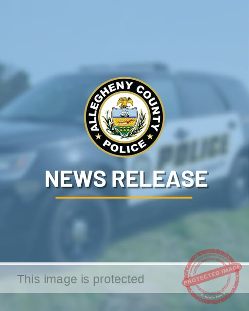 Woman’s Life Ends in Hidden Vehicle; Wilkinsburg Man Charged