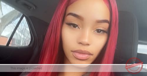 30‑Year-Old Warren Woman Dies in Late‑Night Crash With Semi — Sterling Heights in Mourning