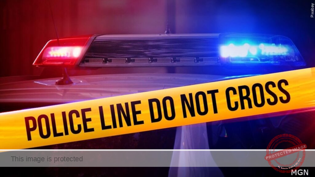 87-Year-Old Newberry Resident Dies in Two-Vehicle Crash