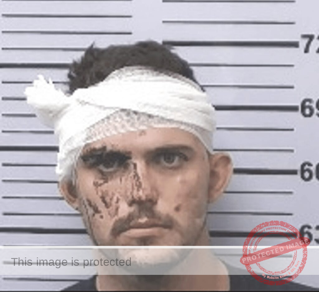 57-Year-Old Ronald McGowan Fatally Stabbed by Son After Early Morning Argument in Mobile