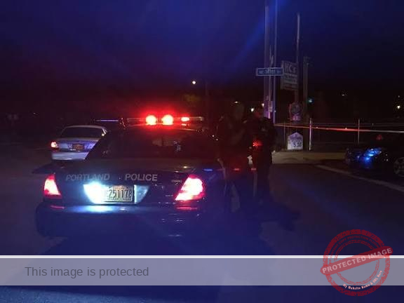 Pinson Man Michael Dakota Hayes Dies After Single-Vehicle Crash on Highway 79 Ravine