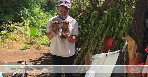 Alexandra Wynter California, Chico Death and Obituary: Chico State Student Alexandra Wynter Killed in Tragic Murder-Suicide in California