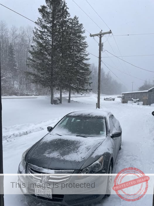 Bridgeton Mourns the Loss of Linda Williams After Tragic Crash on U.S. 17