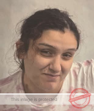 Woodlawn Community Search for Missing Resident Ashley Bradds